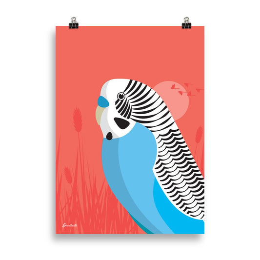 Budgie poster - Drewdleville